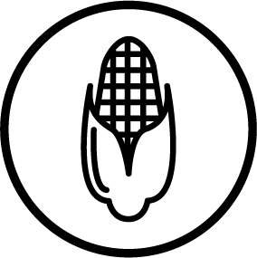 Bioamida 